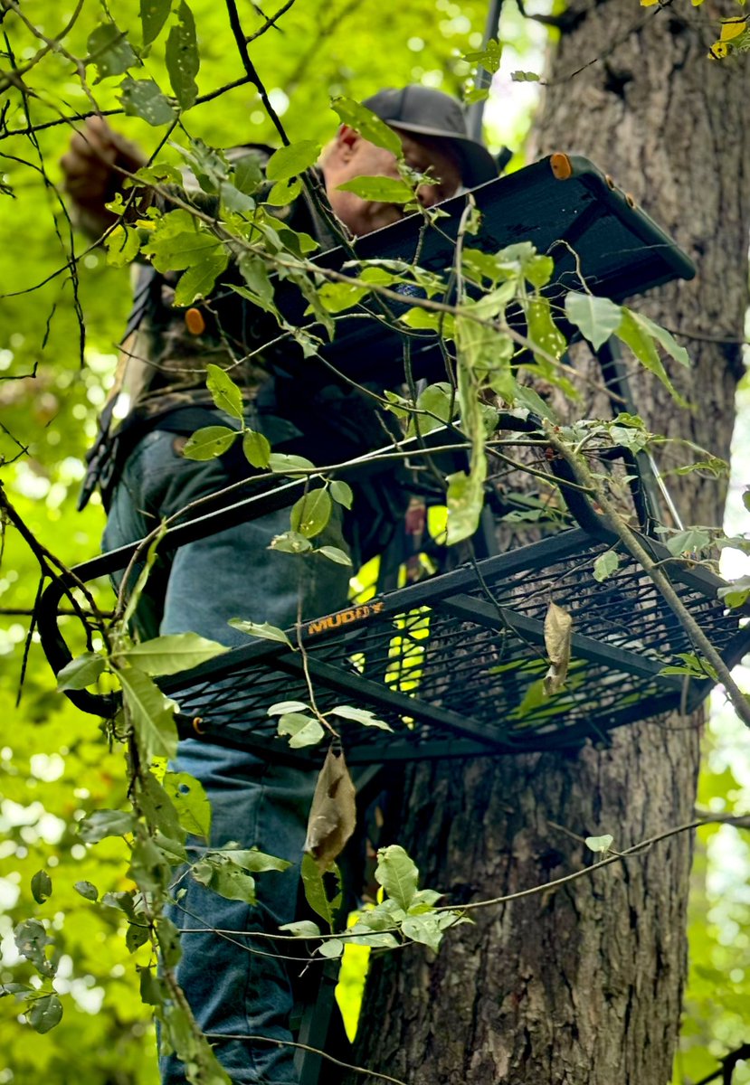 paboyzoutdoors1's tweet photo. It's that time of the year! Who else has started getting stands up??
๐ฆ: @muddyoutdoorsofficial
#muddyoutdoors #treestand #hunting #offseason #whatgetsyououtdoors https://t.co/SW3jO1ToSR