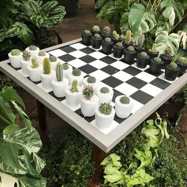 SteinFlorist's tweet photo. βοΈπ΅ Happy International Chess Day! Sometimes the best strategy is to stay calm, think ahead, and enjoy the game. This cactus chessboard is the perfect mix of brains and nature! πΏπ
#InternationalChessDay #ChessDay #PlantLovers #Cactus #Strategy https://t.co/OurzXZeXFU