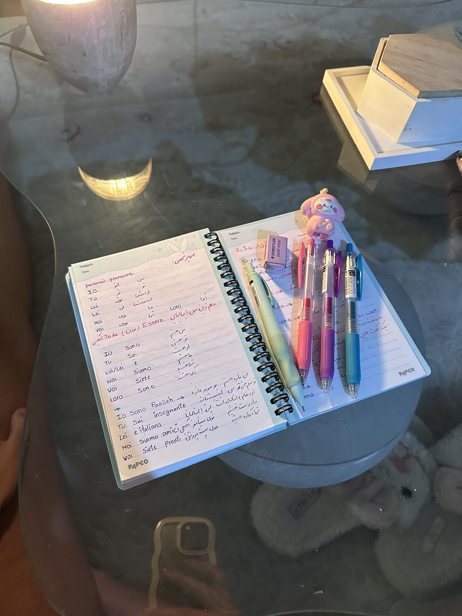faz1313's tweet photo. یکی از دوستام برای تولدم برام دفتر و لوازم تحریر خرید 
یکی دیگه ام داره باهام ایتالیایی کار میکنه 
خواستم بگم کادو بخرین برام من به بهترین شکل ازش استفاده میکنم 😎
@pholenlapholen https://t.co/JlwPV7dHp4