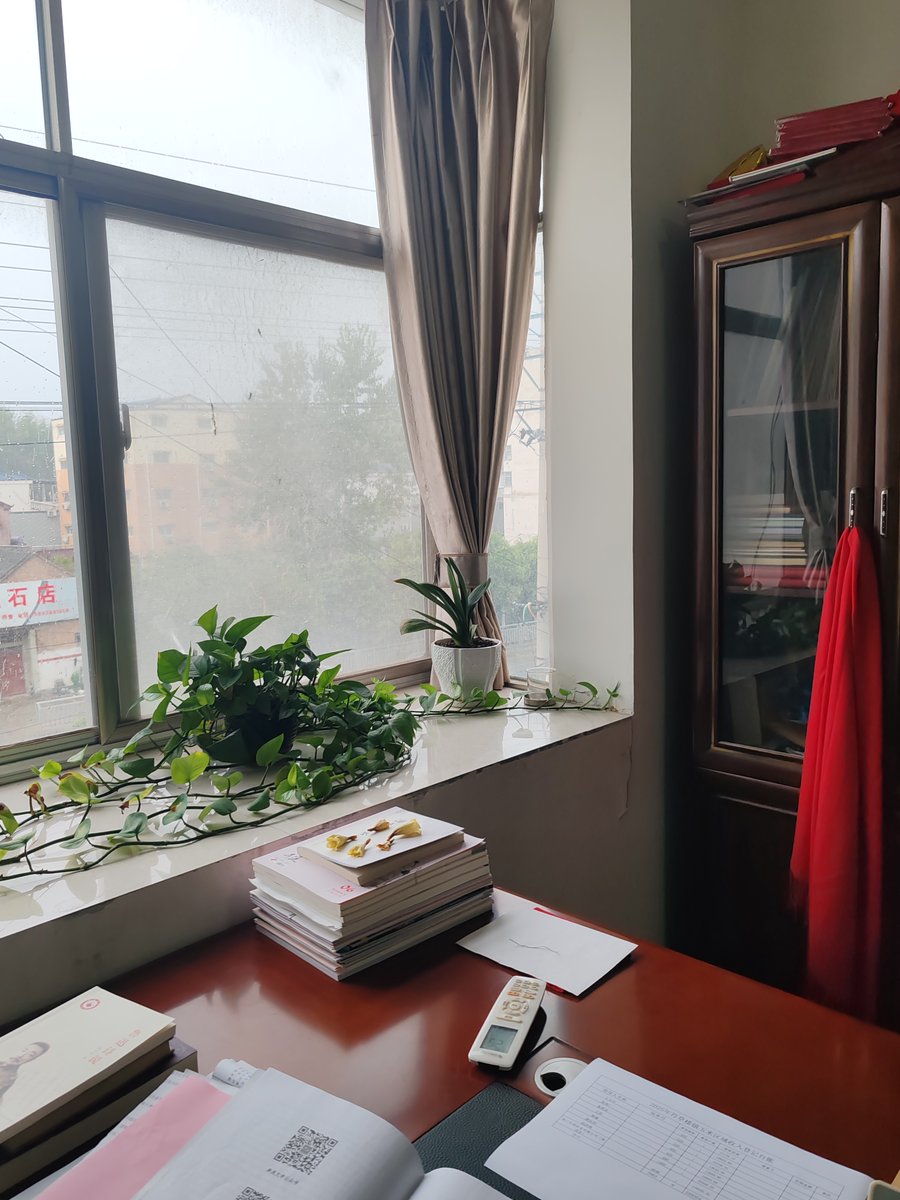 AshleyHammpo5's tweet photo. Just spent 10 mins staring out the window, watching clouds float by. Work can wait—this is the real productivity. https://t.co/PE42JGi9sD