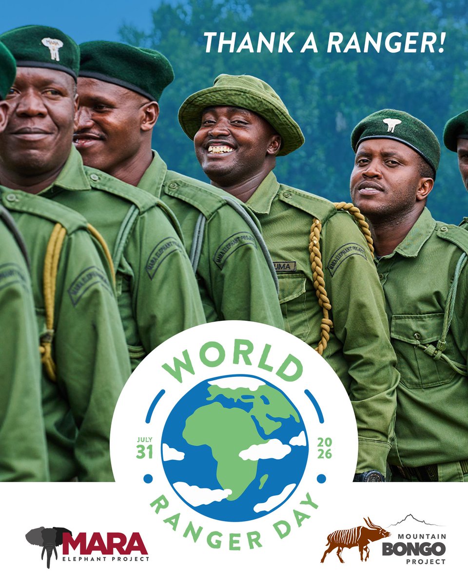 MaraElephant's tweet photo. Have you ever wanted to directly thank the men and women who have committed their lives to protecting wildlife? 

This #WorldRangerDay, you have the opportunity to share your appreciation with the rangers of Mara Elephant Project and Mountain Bongo Project, who work tirelessly to protect elephants, mountain bongos, and the habitats they all depend on. Through July 31, we're collecting thank you messages and delivering them directly to our ranger teams. 

Your words of encouragement will be read aloud to the rangers in the field, reminding them that their courage, commitment, and dedication to conservation are recognized and appreciated. 

Join us in celebrating the people on the frontlines of wildlife conservation and send a message of thanks today: https://t.co/0L1hXJysgq