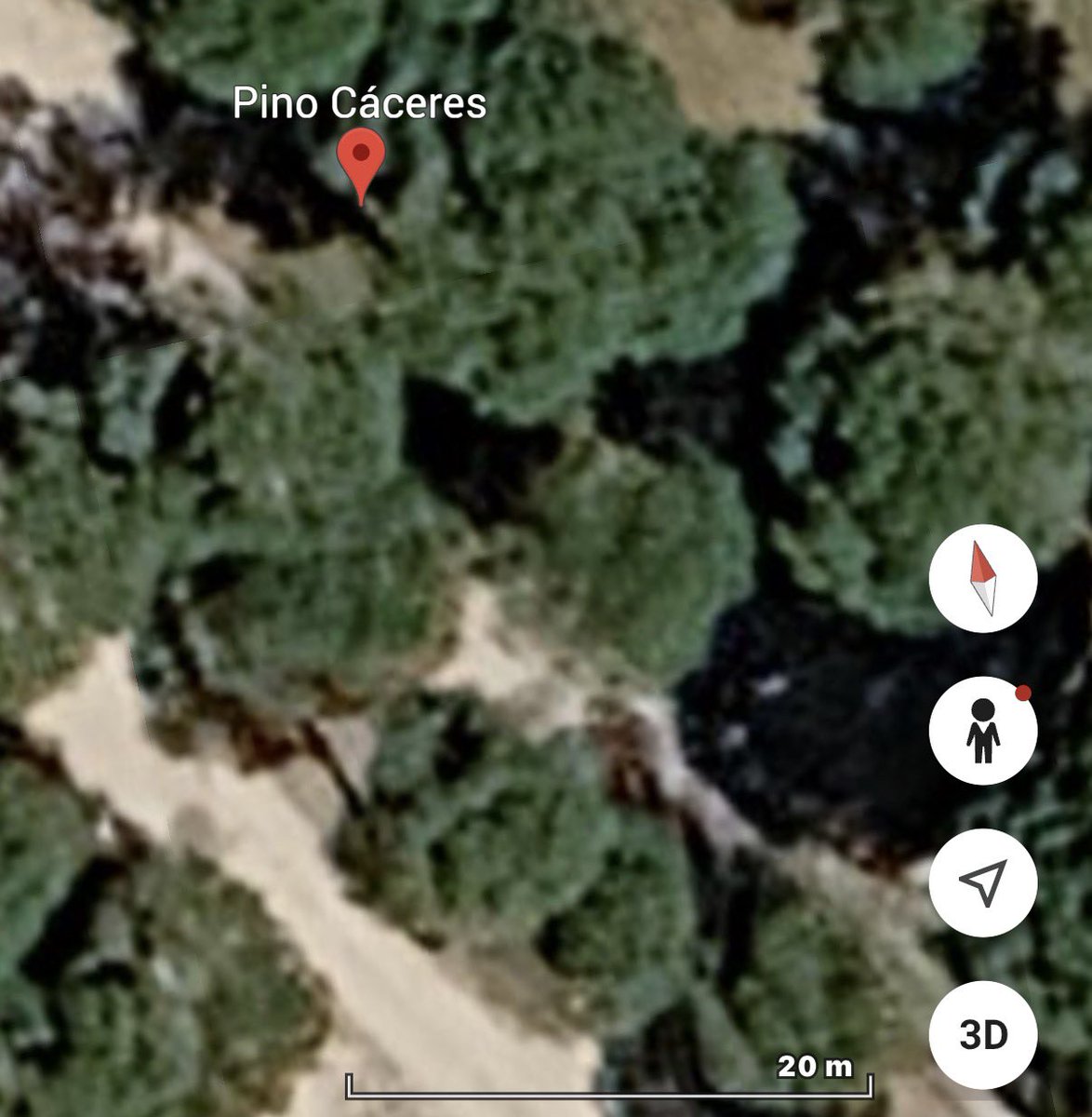 VOSTandalucia's tweet photo. Un Operativo del @Plan_INFOCA trabaja, desde las 17h00, en la extinción de un #IIFF, en el paraje Pino Cáceres, Tm de #Almonte ÁNIMO Y FUERZA ! #IFAlmonte #Huelva #Andalucia #112 #VOST @E112Andalucia https://t.co/QaaXhHZFGU