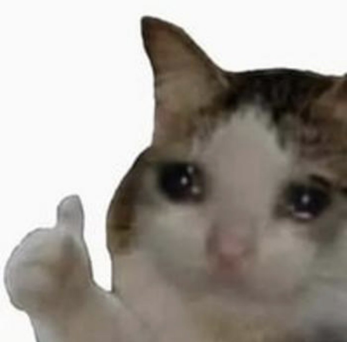 zeddddmomo's tweet photo. still ok https://t.co/3AubckgMEz