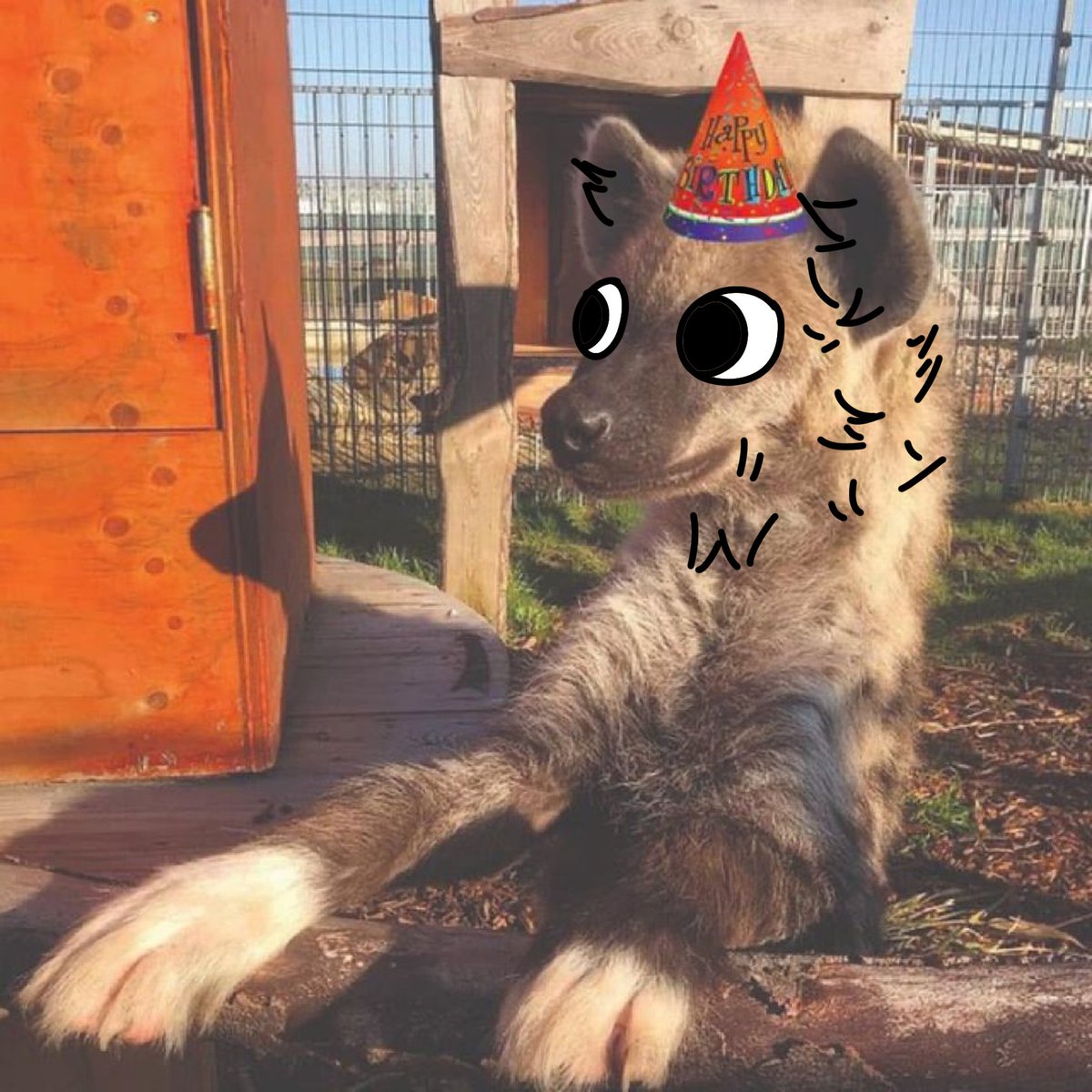 Meowcat tweet media