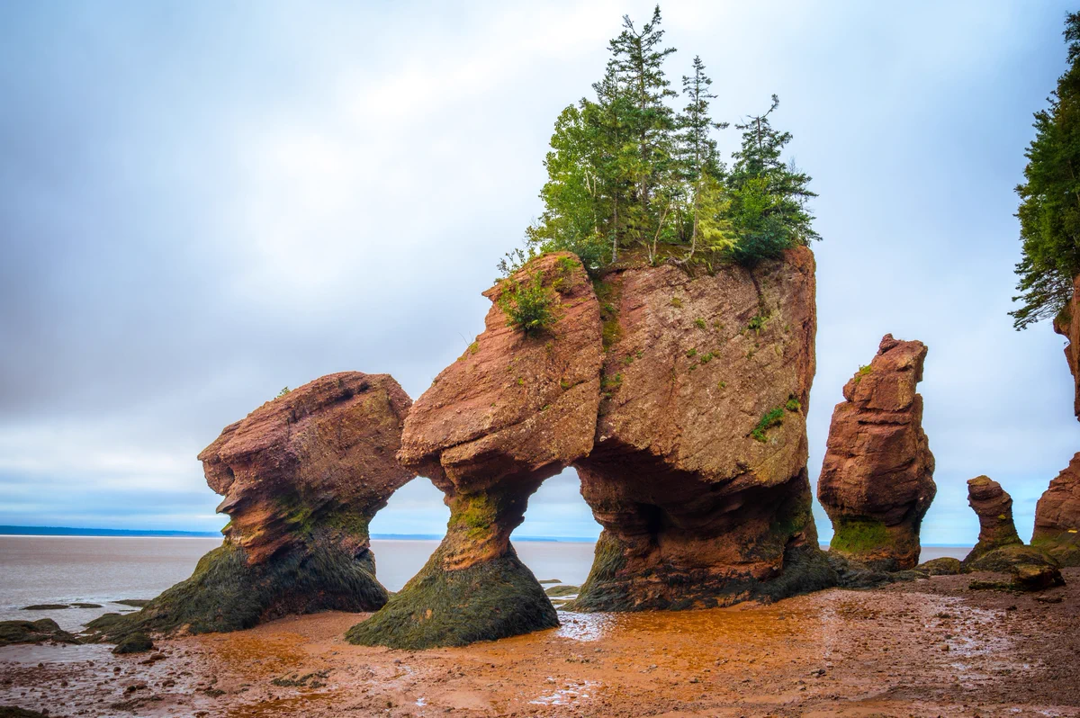 Lovers Arch at low tide, Hopewell Rocks Provincial Park, Bay of Fundy.