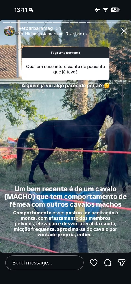 marestudos's tweet photo. simplesmente encantada com o caso desse cavalo gay a natureza é linda https://t.co/5ASKIAo2Dn