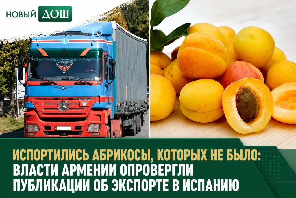 new_dosh's tweet photo. Испортились абрикосы, которых не было: власти Армении опровергли публикации об экспорте в Испанию

Подробнее👇 
https://t.co/Mr8m3Fcrg0 https://t.co/EBWDXagvUu