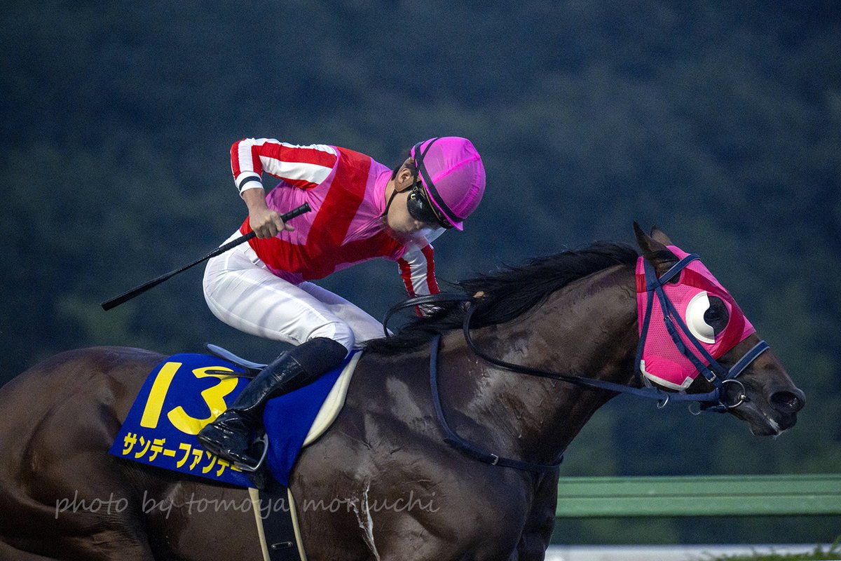 j_taro's tweet photo. Sunday Funday with jockey Yamato Tsunoda won Mercury Cup.
#サンデーファンデー
#角田大和 騎手
#マーキュリーＣ https://t.co/SQuVJrNQSD