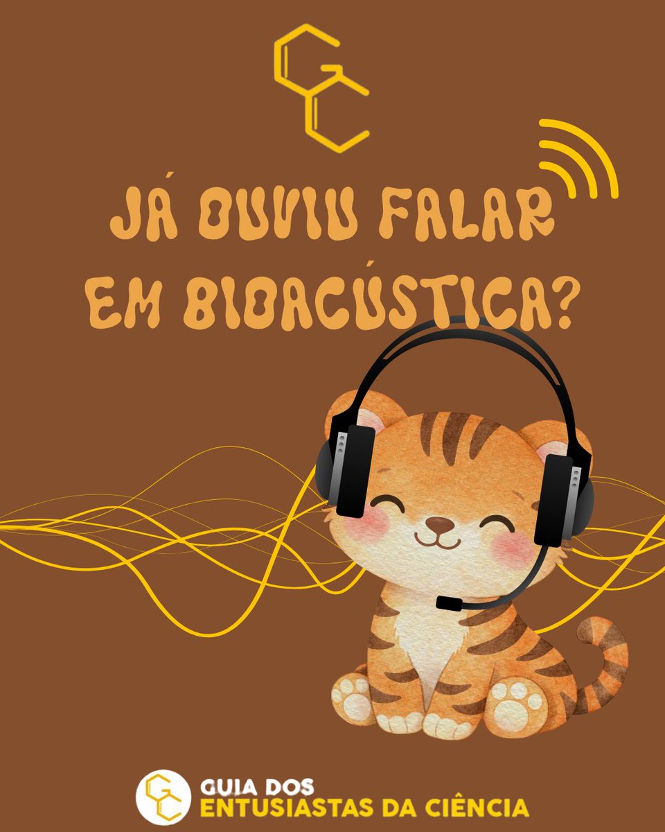 guiaeciencia's tweet photo. Já ouviu falar em Bioacústica? 🐾

Se você gosta de música e conhece nosso blog, já deve ter lido o texto que publicamos há algum tempo sobre paisagem sonora. https://t.co/AAnbgCe3Ev