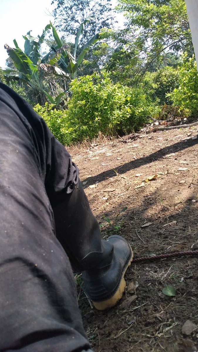 Masoudee_22's tweet photo. Ardhi haisemi uongo — inalipa kile ulichopanda
Buti zangu chafu ni ushahidi wa jasho na bidii. Hakuna cha bure duniani — kila kitu kinahitaji kazi. 🌱👢 #Kilimo #KaziNiKazi #MaishaYaKijijini https://t.co/47c0ik4snB