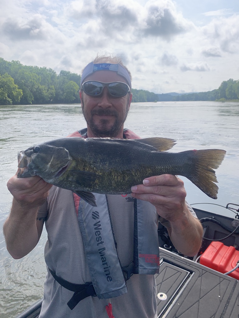 FishingShallow's tweet photo. 🛒 Shop online. 🎣 Fish legendary rivers.

Gear up, then book your next adventure with Shallow Water Fishing Adventures.

https://t.co/fqVu2gn3iu

#BassFishing #Smallmouth https://t.co/oCpuUPgzON