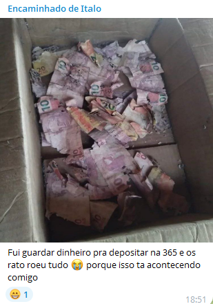 cabreloatips's tweet photo. KKKKKKKKKKKKKKKKKKKKKKKKKKKKKKKKKK https://t.co/B1yQlcGGrU