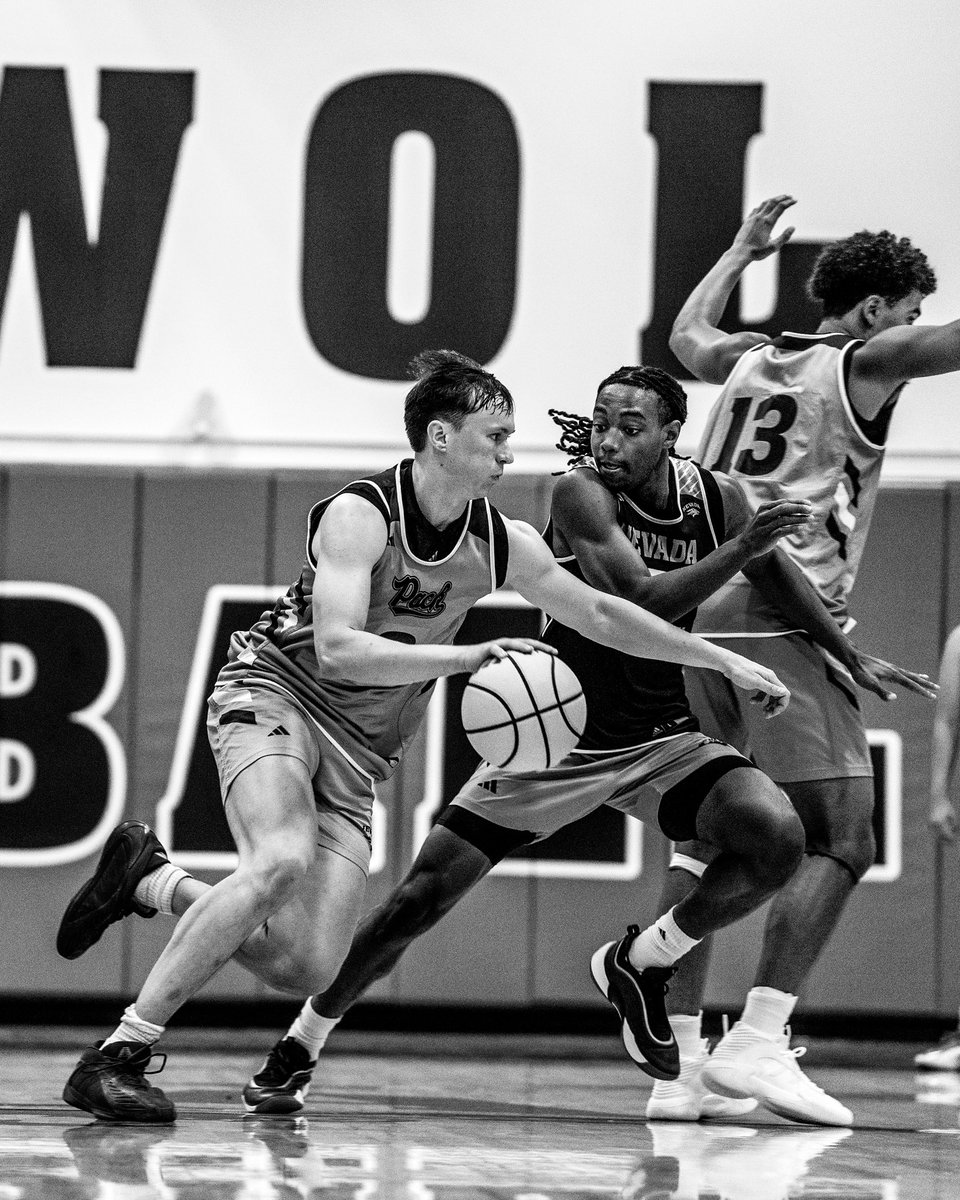 NevadaHoops's tweet photo. Summer work ⚫️⚪️

#BattleBorn | #PackParty https://t.co/2YccpODOTJ