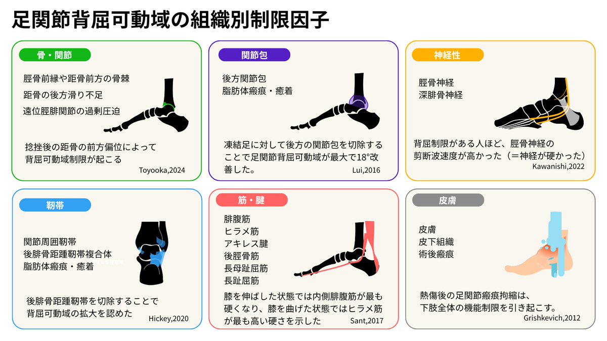 pttiger0228's tweet photo. 足関節背屈制限まとめ https://t.co/LeO4HPisPz