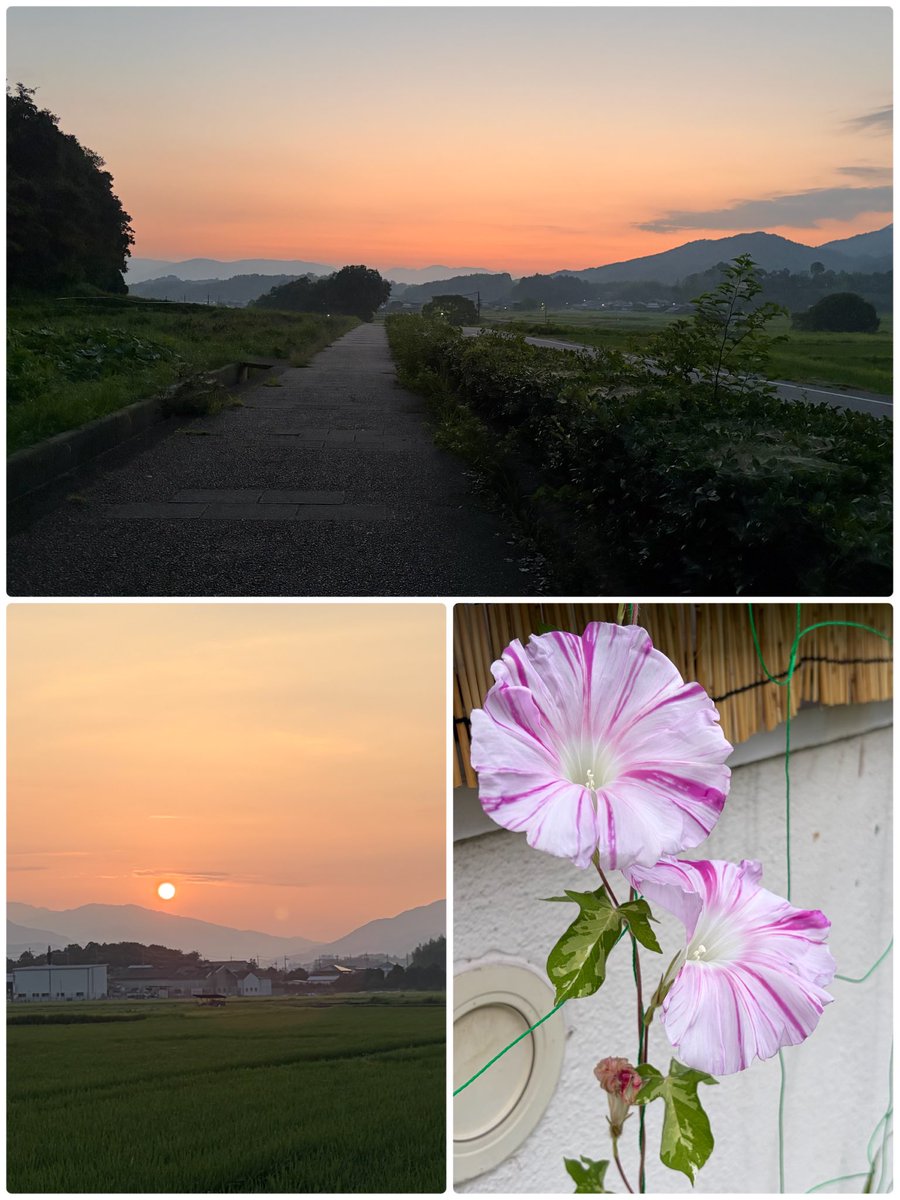 hattanco's tweet photo. おはようございます☀️

連休が終わって また1週間
暑い、熱い一日が始まりました🥵💦

体調に気をつけて
今週もつつがなくꔛෆ🍀*゜ https://t.co/rpxywgyk9I