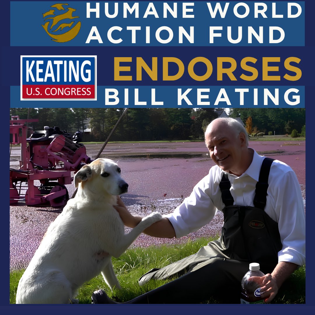 WilliamKeating's tweet photo. Honored to receive the endorsement from @humaneactfund! 🐾 Together, we’ll keep fighting for animal welfare, protect wildlife, and prevent cruelty. Let’s make a difference! https://t.co/qbi9WAa8Vo