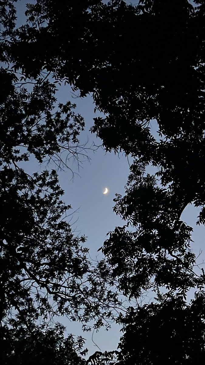 PrettyPipppy's tweet photo. #moon https://t.co/b6o4s9x7wn