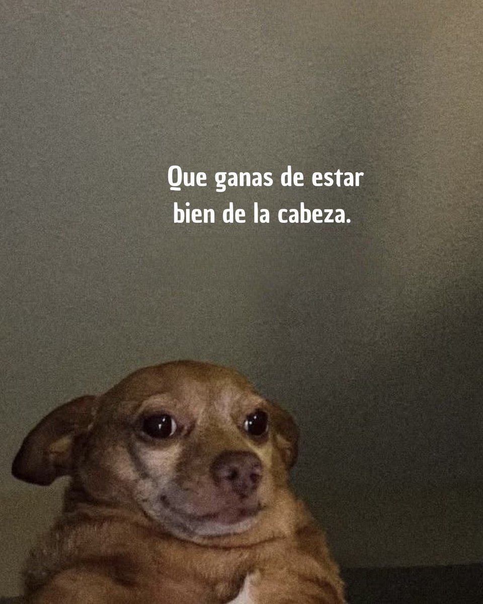 dilocondibujos_'s tweet photo. Que ganas https://t.co/xx0e5fC2Yz