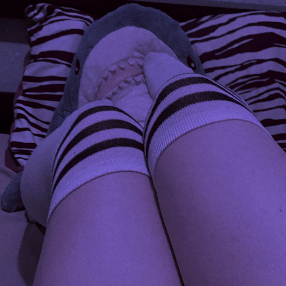 PinkRammie's tweet photo. #femboy

Blahaj eres tontisimo, ¿como que te van a gustar la patas? Dios, todo el tiempo me pides que las ponga encima de tu cara…

Bueno, ¿alguien quiere reemplazarlo, corazones? ;3💖 https://t.co/NSas4yKXCw