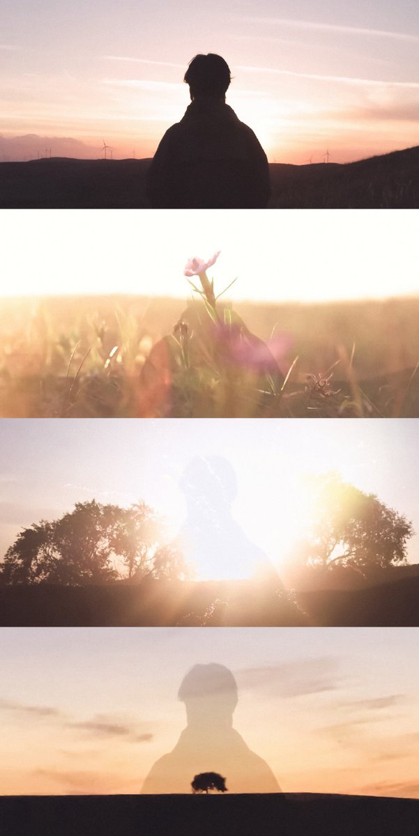dogjob_duck's tweet photo. New to photography Start with natural light! It’s free, flattering, and perfect for capturing warm, vivid shots. No fancy gear needed—just your phone or basic camera. Give it a try this weekend! https://t.co/Yjcqzv8J3B