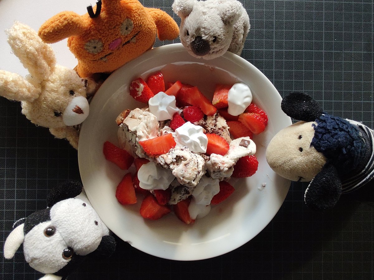 KatDru01's tweet photo. Sie hat Eis mitgebracht. Die Feier geht los. 🥰😋😋😋 https://t.co/E4qoal2oWE