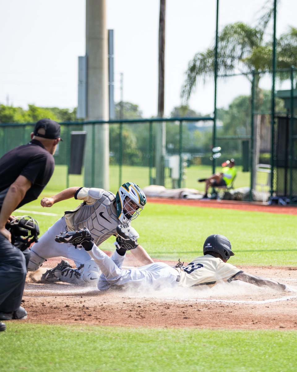 MLB/USA Baseball PDP tweet media