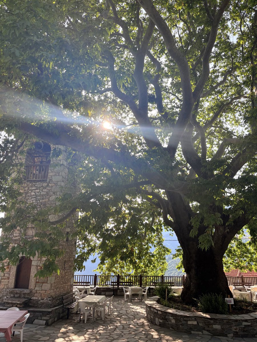 MyGame__MyRules's tweet photo. Πλατανιαζόμουν.. https://t.co/G7ZVboX6tJ