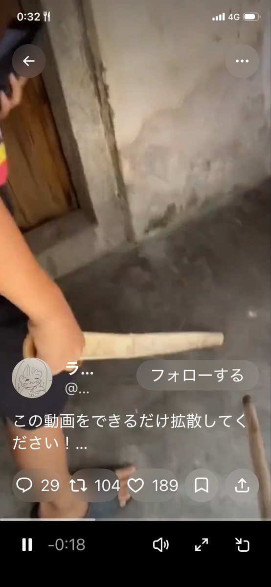 猫、夜明けの猫 tweet media