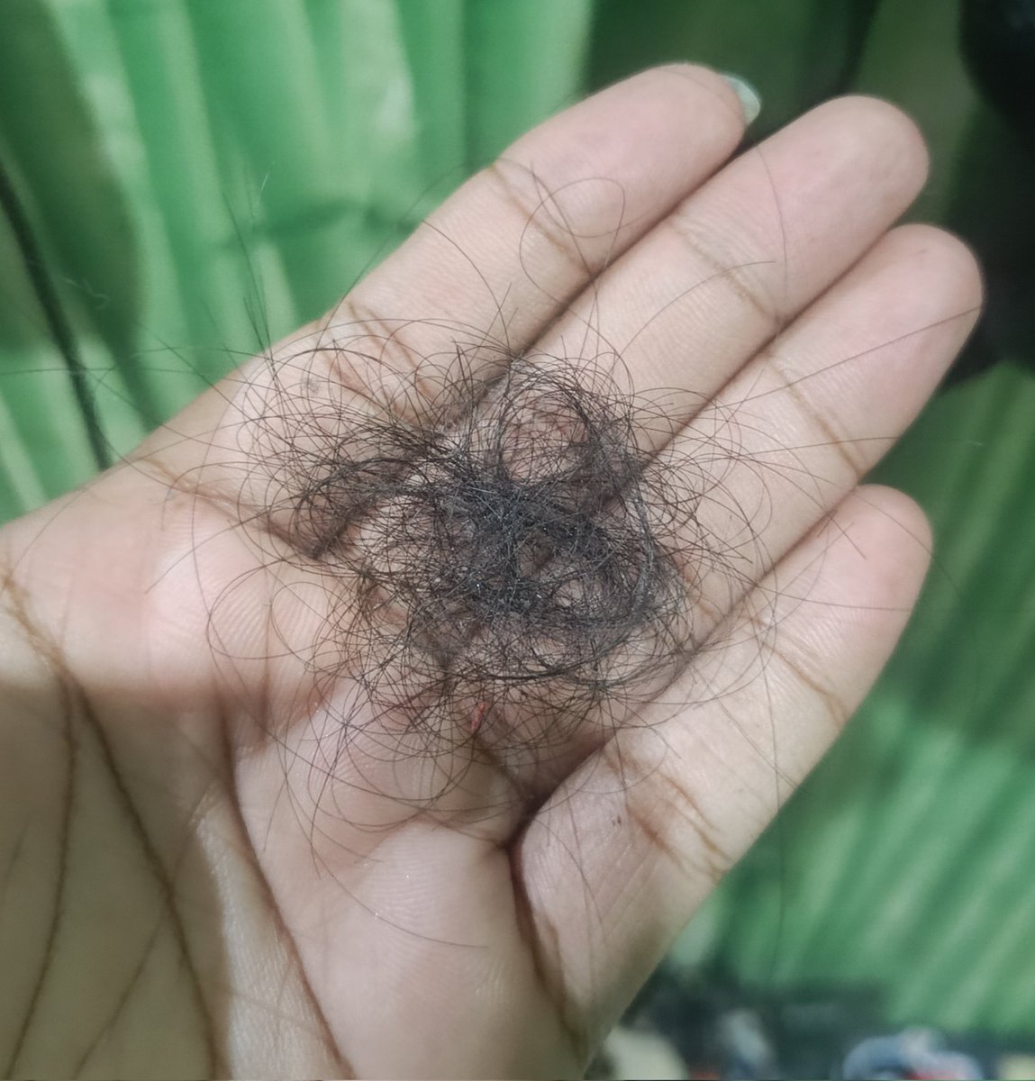 imastermindh's tweet photo. ni kalau sebulan dikumpulin gw bs bikin pabrik wig kali ya https://t.co/jiti07lyf6