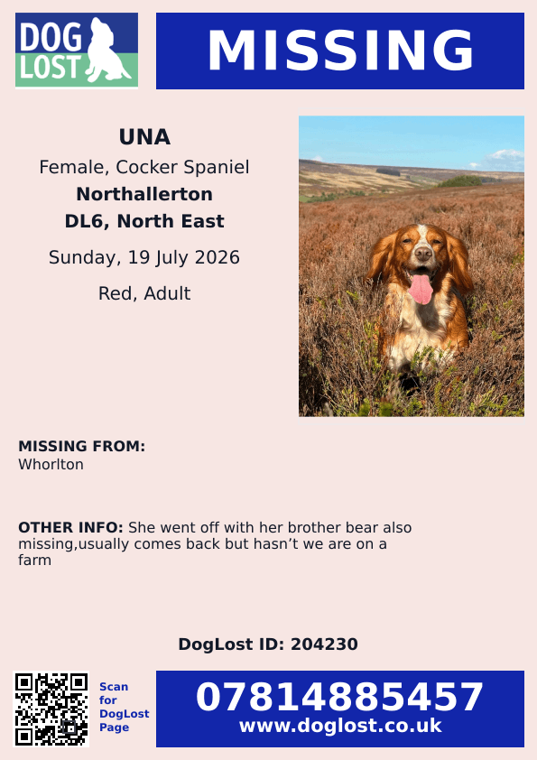 millypod1's tweet photo. π19 JULY 2026 #Lost Una & Bear #ScanMe
2 Cocker Spaniels 1 Female 1 Male.
#Whorlton area #DL6 #NorthYorkshire #Yorkshire
https://t.co/IJrt5EH9Ay
https://t.co/yJLQGwhtLY https://t.co/DXn8yCfHN0