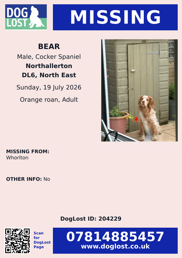 millypod1's tweet photo. π19 JULY 2026 #Lost Una & Bear #ScanMe
2 Cocker Spaniels 1 Female 1 Male.
#Whorlton area #DL6 #NorthYorkshire #Yorkshire
https://t.co/IJrt5EH9Ay
https://t.co/yJLQGwhtLY https://t.co/DXn8yCfHN0