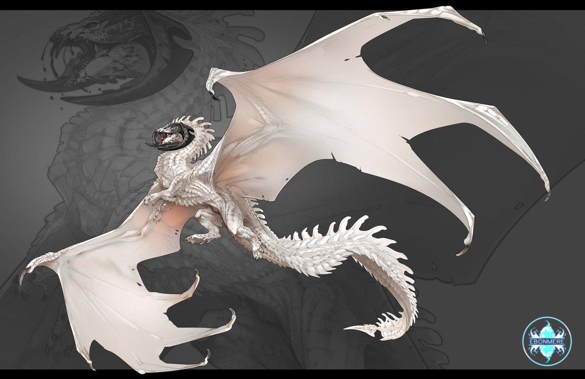 EbonmereArt's tweet photo. A leucistic black dragon has appeared!🤍🖤 https://t.co/cr8Bivn6Ak