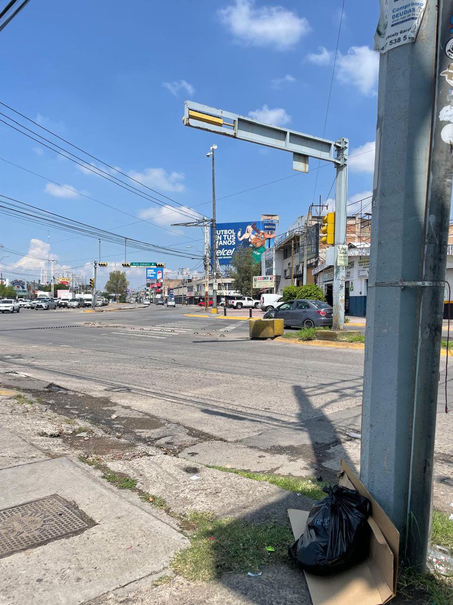 Iguanomayor tweet media