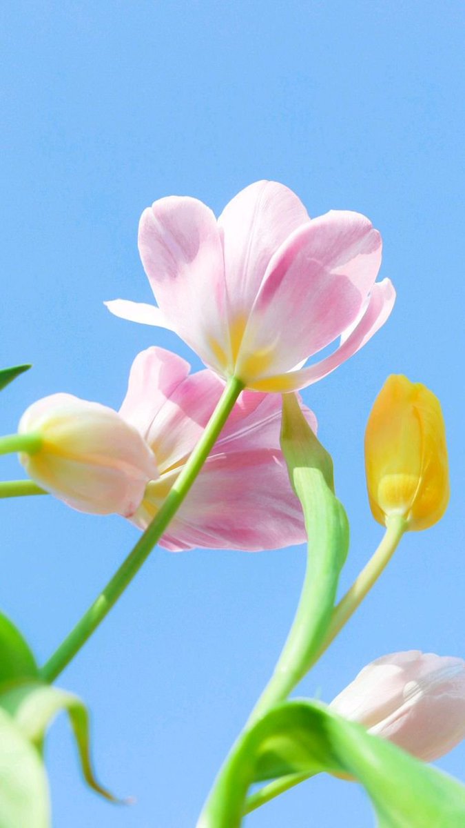 Flowers46i's tweet photo. https://t.co/JURhIhNBwf