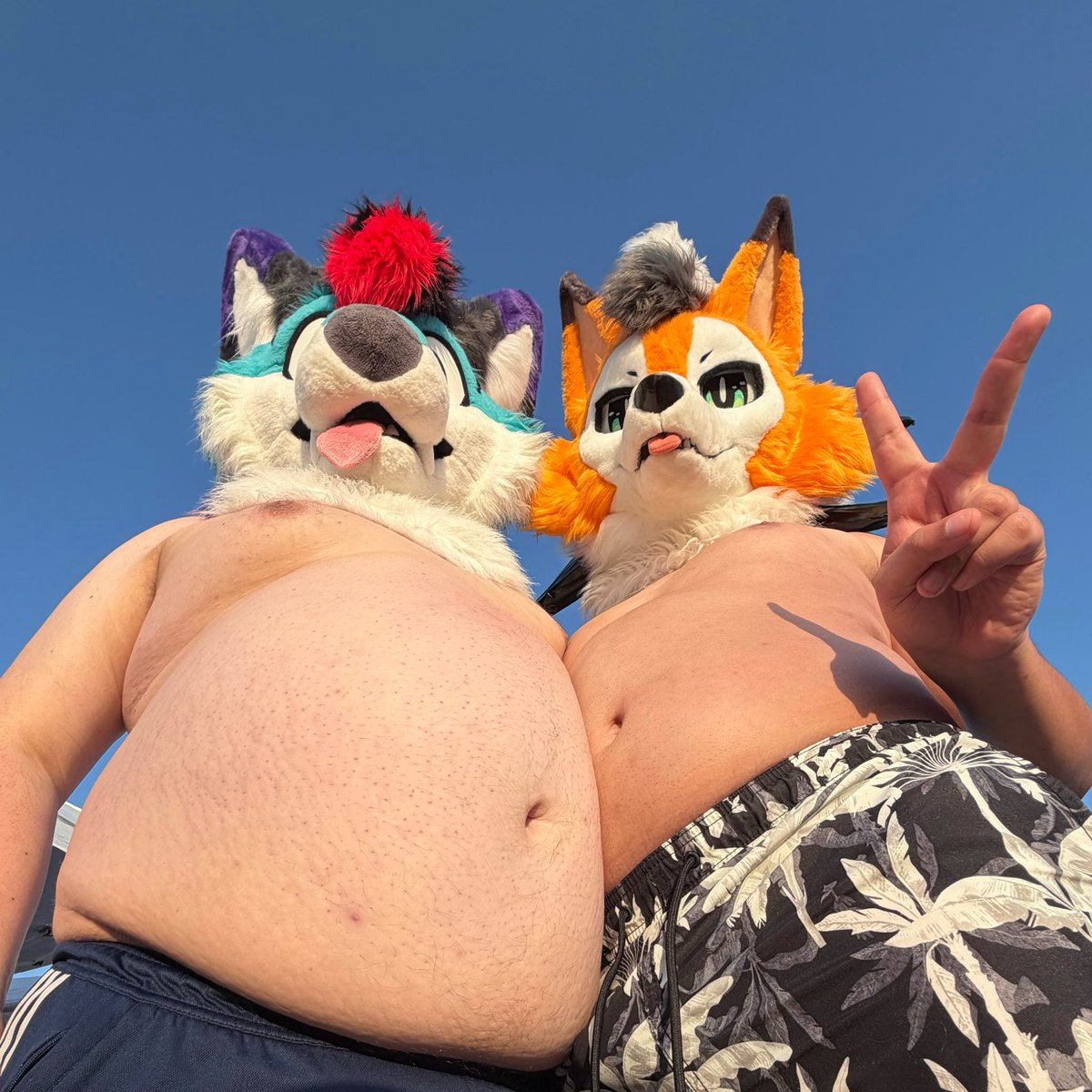 holidaythefox's tweet photo. I got some catching up to do 👀💦 https://t.co/GbUwUtnHDL