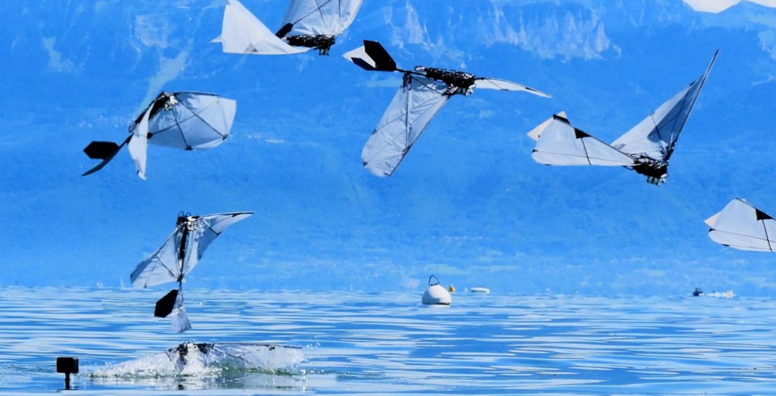 SwissCGNY's tweet photo. ๐ฆ๐ค EPFL & MIT engineers built a robot inspired by diving birds that swims underwater then flies out. Tested in Lake Geneva and could help sample hard-to-reach ocean areas cheaply.
๐กRead more here: https://t.co/Pm3MCSkbcs
#Switzerland #EPFL #Innovation https://t.co/6n5cmByJ51