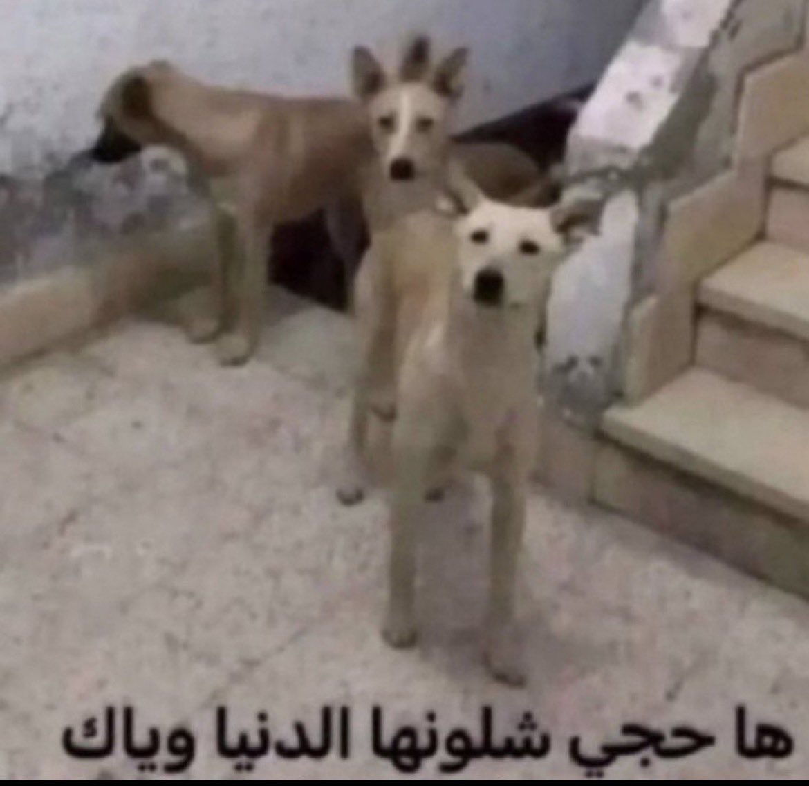 Sayerykxt's tweet photo. @itsband3r هههههههههههههههههههههههههههههههههههههههههههه https://t.co/4T4NKOxXZh