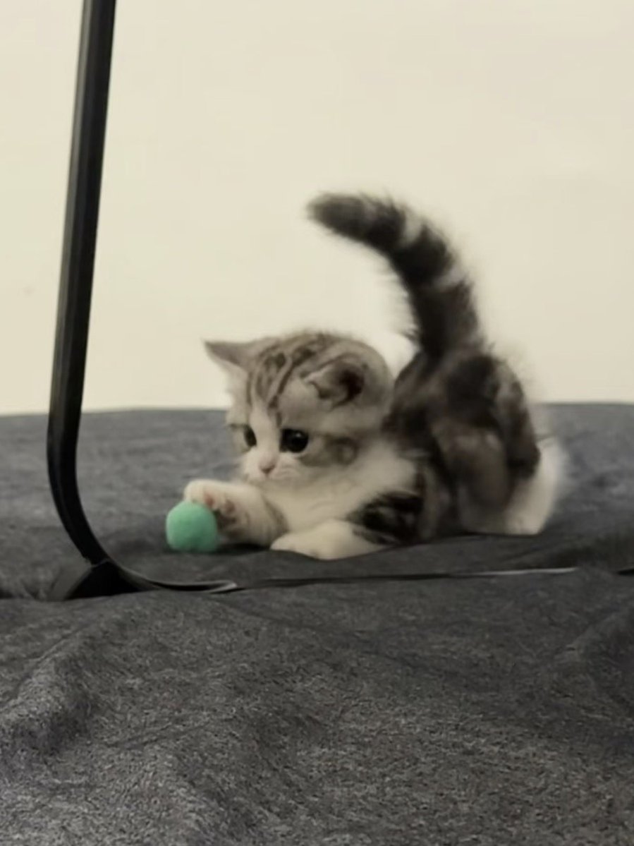 twaniimals's tweet photo. https://t.co/mYmDf6yi33