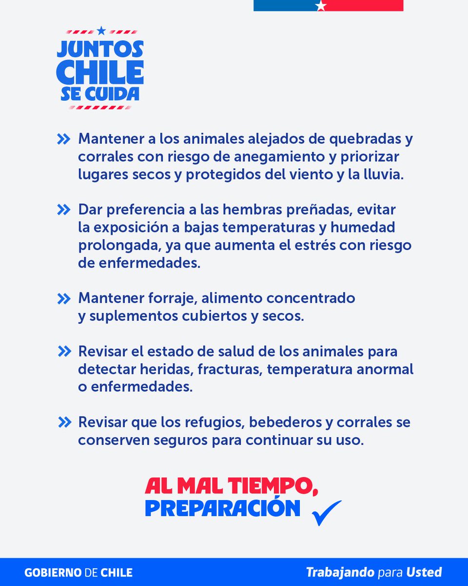 MinagriCL's tweet photo. 🌧️🚜 Ante el sistema frontal que afecta a distintas regiones del país, es importante tomar medidas para proteger los predios, los cultivos y los animales.

📲 Revisa las recomendaciones preparadas por la Unidad de Gestión de Riesgo de Desastres Agrícolas (UGRA) del @MinagriCL https://t.co/f2YzaJBbLK