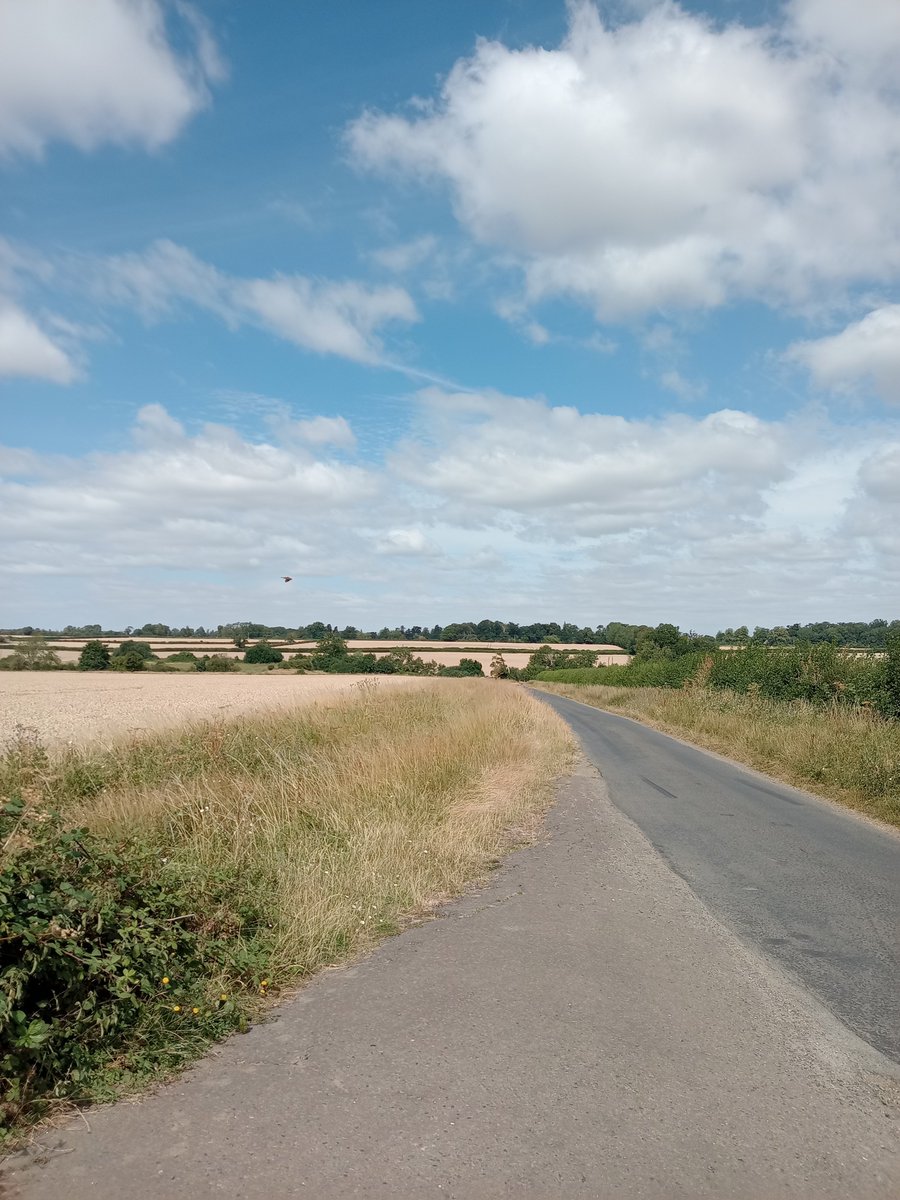 phil0073's tweet photo. Along with a bird & #clouds . #PhilOnaBike #MeanderMonday #BywayFriday #FootpathFriday https://t.co/rzlGUHY3YD