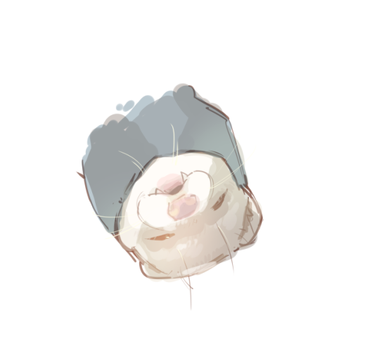 toilet_wc_v's tweet photo. @KykyZtmy https://t.co/a0SiQquCSP