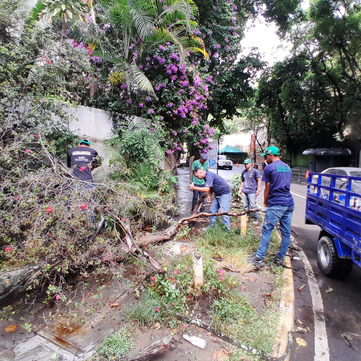 AlcaldiaBaruta's tweet photo. ¡Feliz tarde baruteños! 🍃
Desde temprano nuestras cuadrillas de #AcciónInmediata se encuentran realizando labores de:
🚧Destape de drenaje:
📍Sector. #LasMinas
🍃Retiro de ramas caídas:
📍Urb. #LasMercedes
🍃Desmalezado:
📍Sector. #Monterrey
🚦Demarcación:
📍Urb. #Chuao https://t.co/wkaFXEAAYv