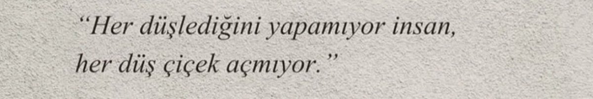 B. tweet media