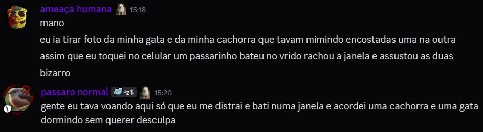 Luna 🏳️‍⚧️ tweet media