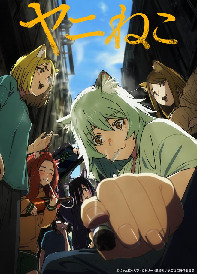 Anime Dubs tweet media