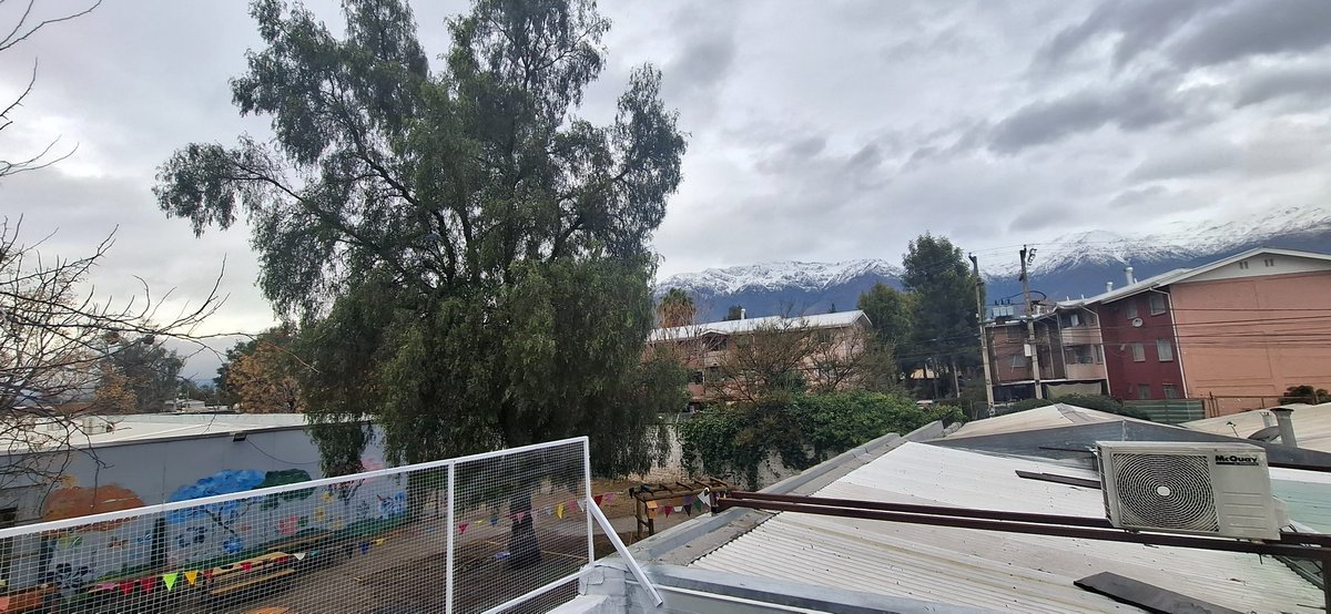 Skadevaro's tweet photo. @penalolen Estimados en el sector del colegio AHF, hacia el gimnasio antiguo (por pirihueico) hay unos árboles que necesitan ser podados, ya que uno se está inclinando hacia las casas colindantes. Hace 3 años que estamos solicitando que se poden y nadie viene 😔. https://t.co/Dwnbgmn9BE