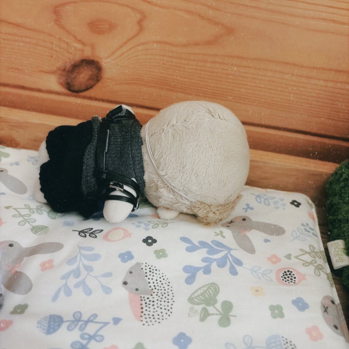 xfladanrim's tweet photo. 넘어졌는데 머리가 무거워서 못 일어나 서러워서 울고 있어 엉엉 https://t.co/nvQcWG0iTQ
