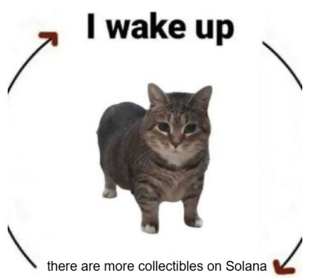 solanagaming's tweet photo. @anamongame https://t.co/iJBiNBLBpz