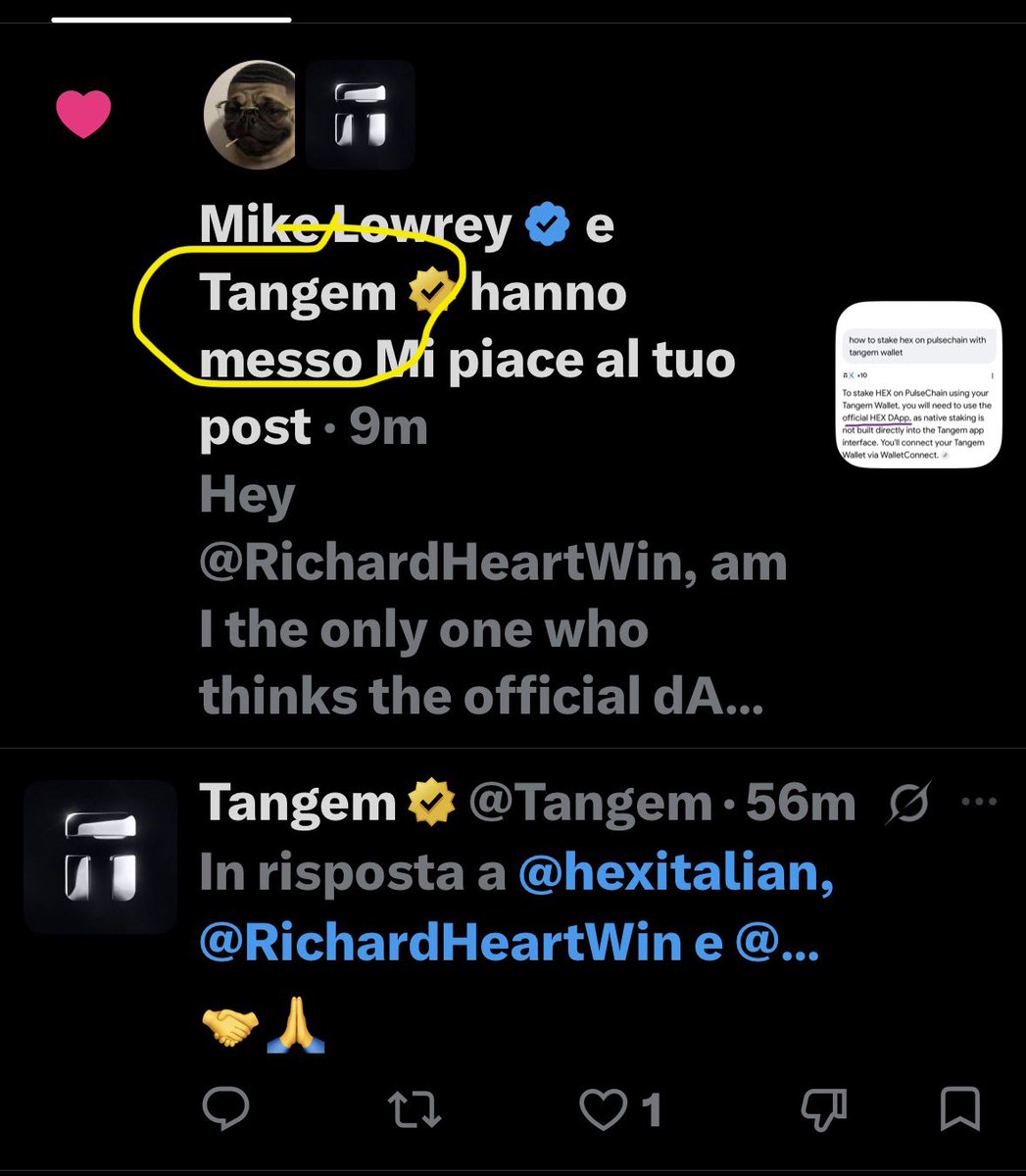 hexitalian's tweet photo. https://t.co/jTWDQYDYh0 
In the main time @Tangent give me a like because the team seriously support https://t.co/jwVBsuj00h

There are some tweaks missing from our official dapps( @WalletConnect ) and it would be nice to be able to customize the RPC for the wallet app if the default one, https://t.co/vygOv7ROaJ, were  down. 
Team @Tangem  please seriously consider customizing the RPC for EVM networks. 
Number one cold wallet for @RichardHeartWin ecosystem 🤙