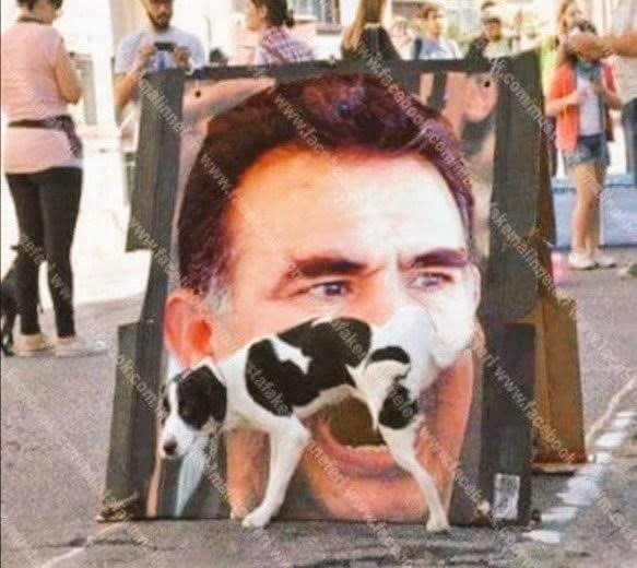 Comacan's tweet photo. @AdemYildiz83637 @haberaktifcom Aferin T böyle büyük olacak. https://t.co/vaG8eByLRQ